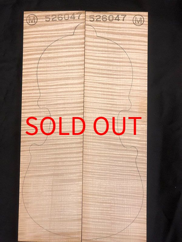 メープル裏板表面