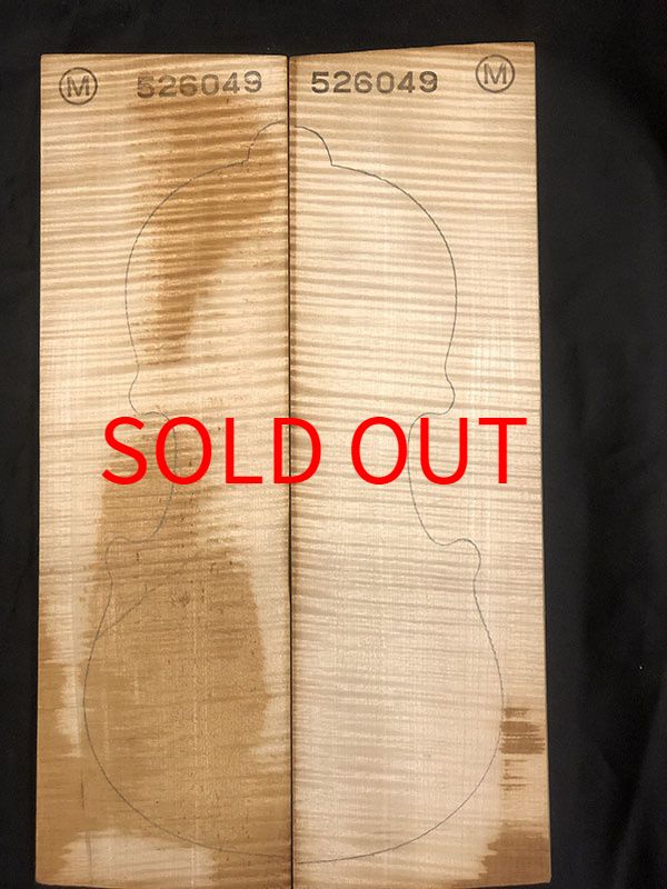 メープル裏板表面