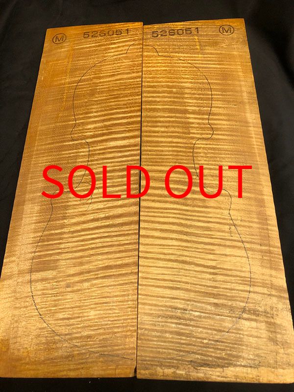 メープル裏板表面