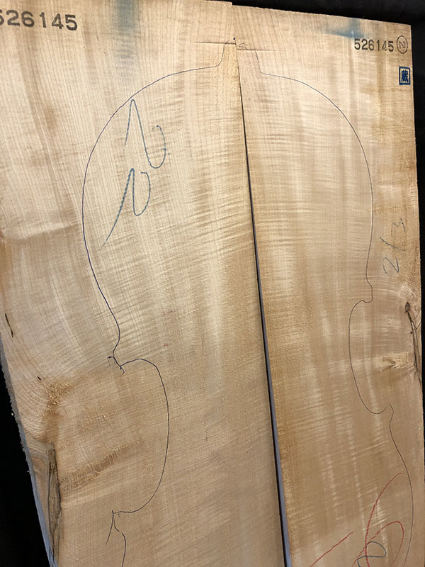 メープル裏板表面