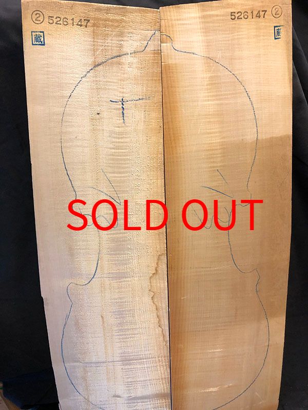 メープル裏板表面