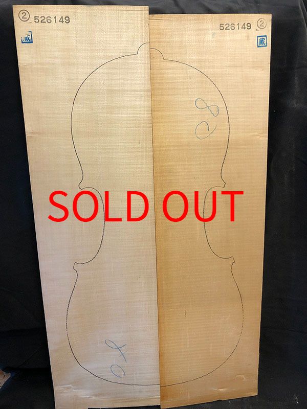 メープル裏板表面