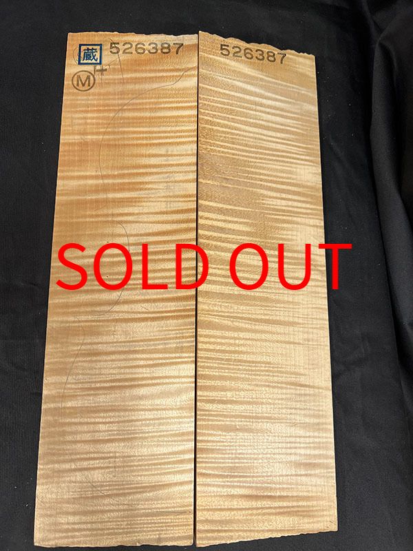 メープル裏板表面