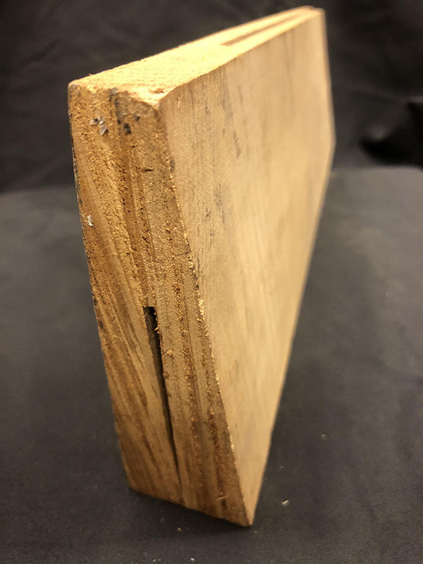 メープル裏板断面図