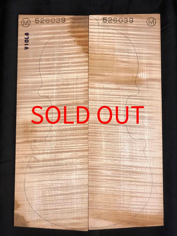 メープル裏板表面