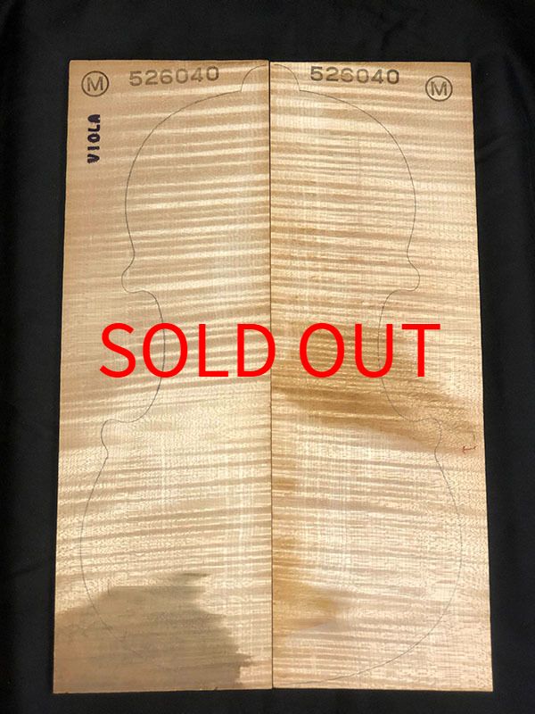 メープル裏板表面