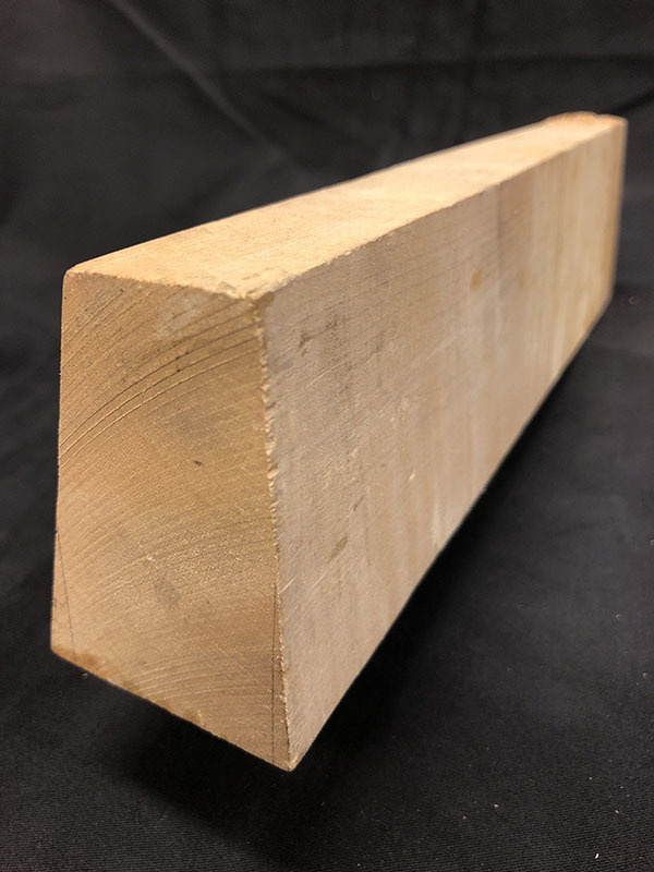 メープルネック断面図