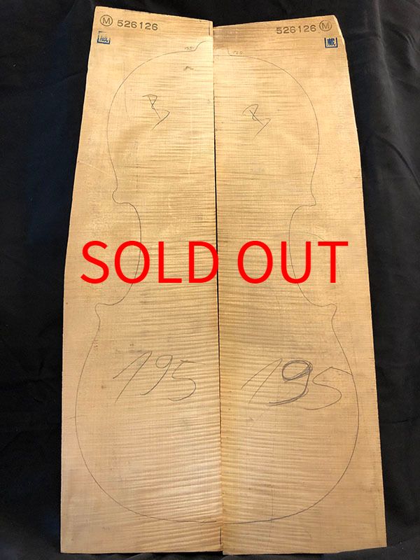 メープル裏板表面