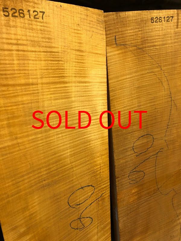 メープル裏板表面