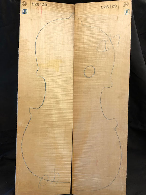 メープル裏板表面