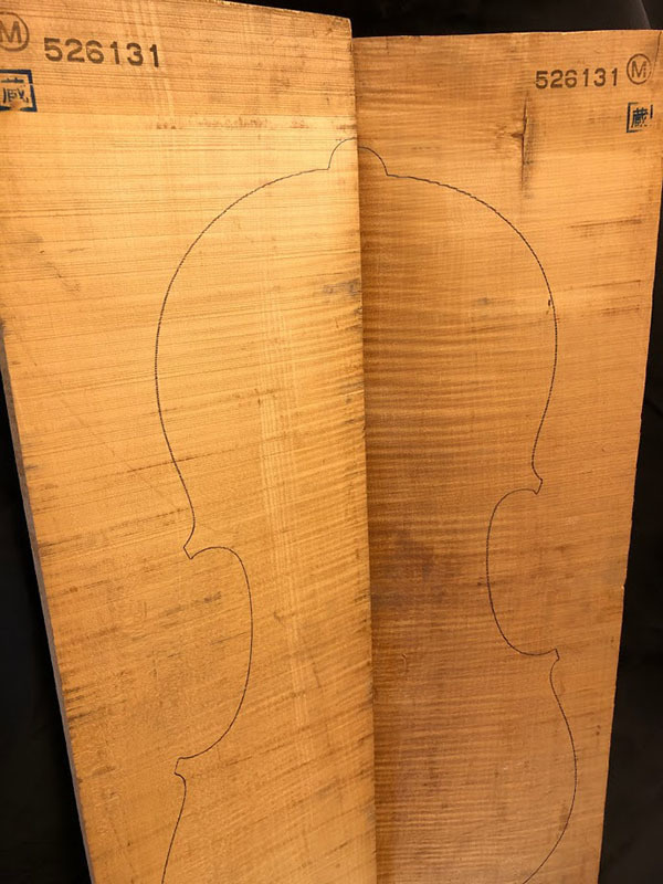 メープル裏板表面