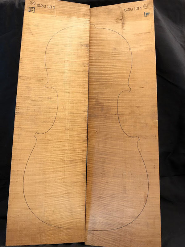 メープル裏板表面