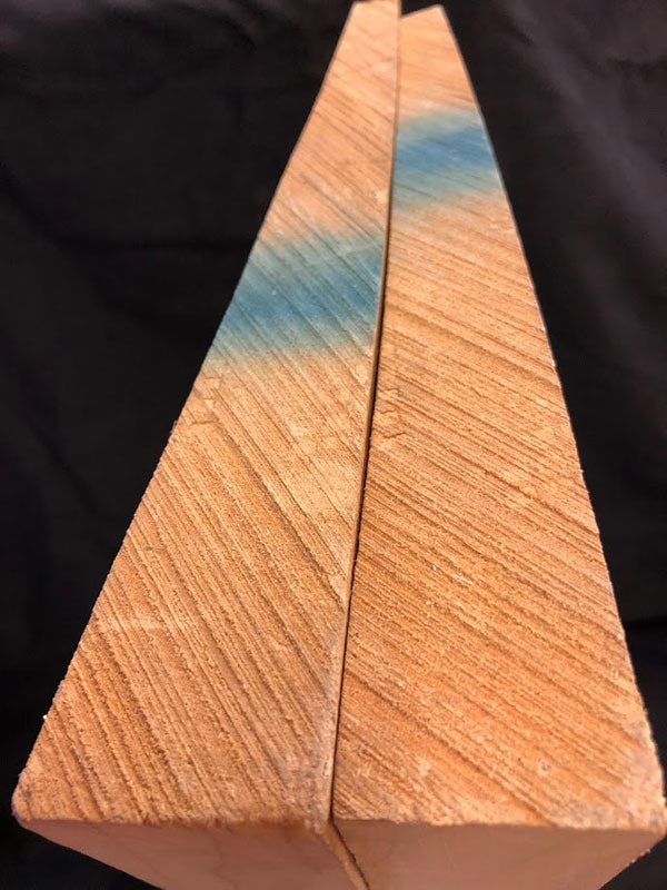 メープル裏板断面図