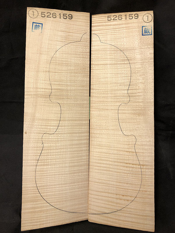 メープル裏板表面