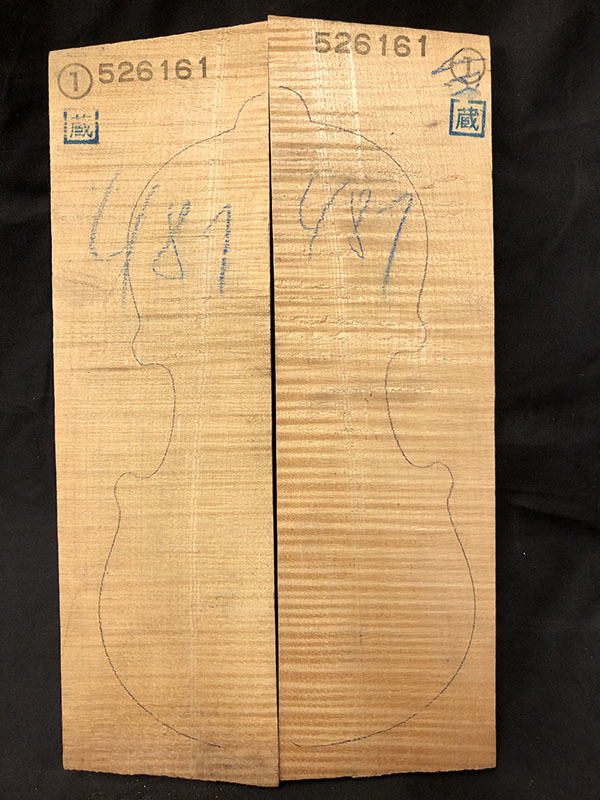 メープル裏板表面