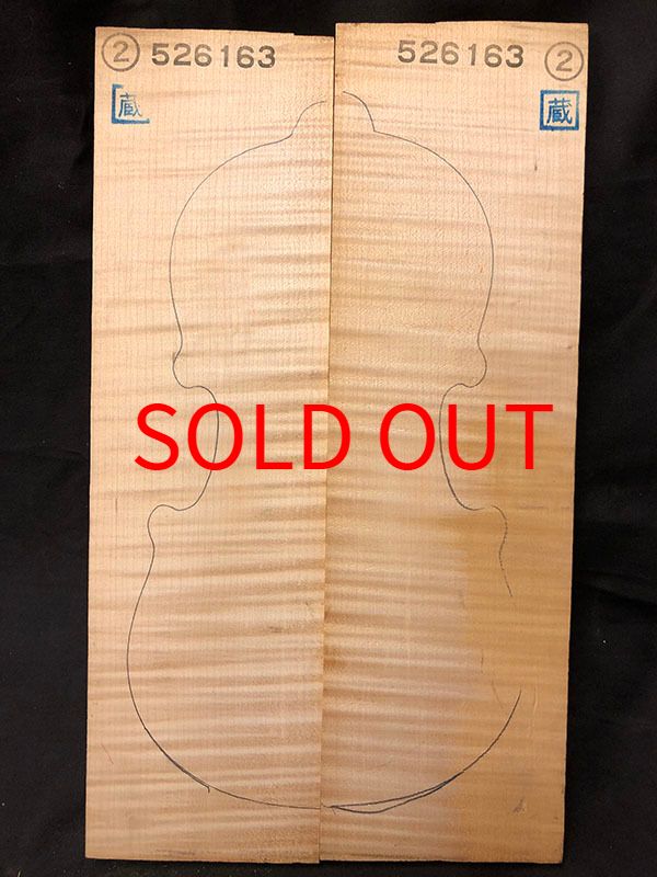 メープル裏板表面