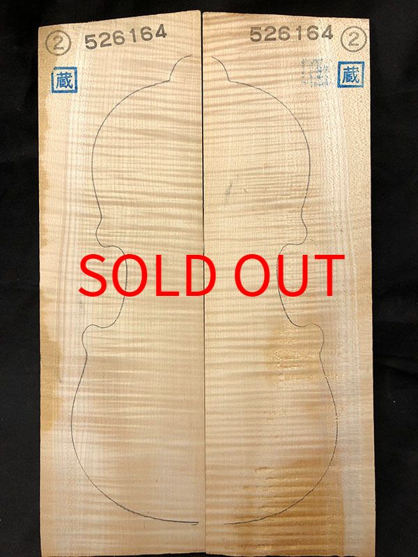 メープル裏板表面