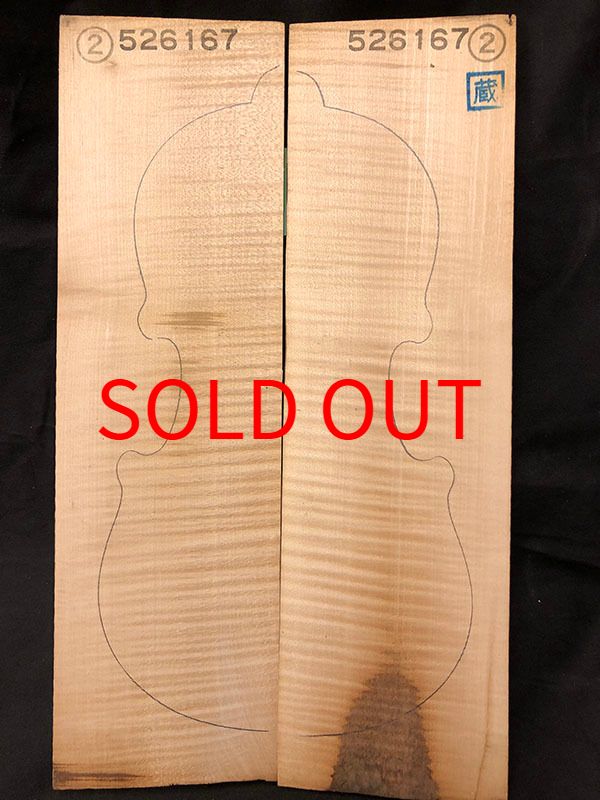 メープル裏板表面