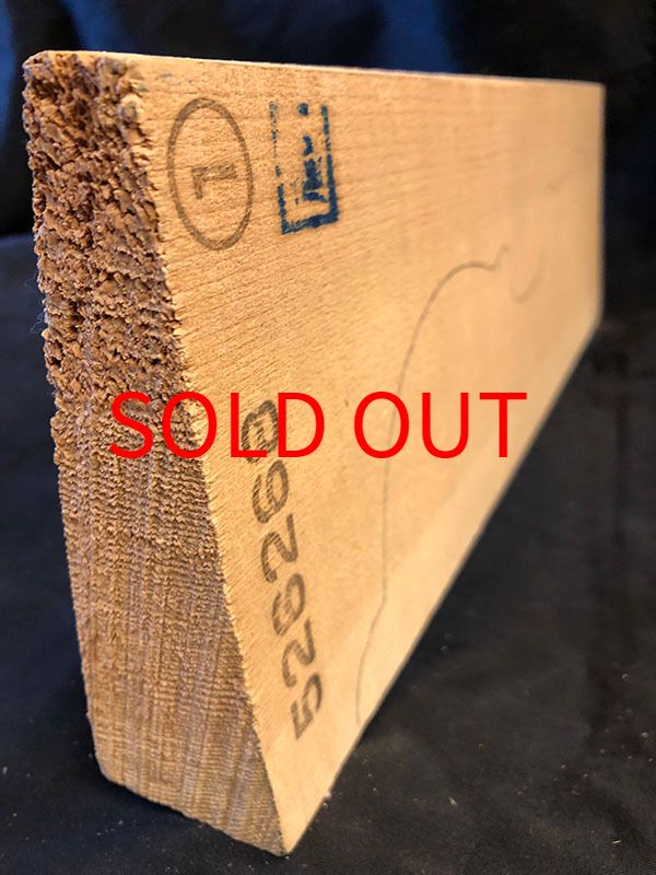 スプルース表板断面図