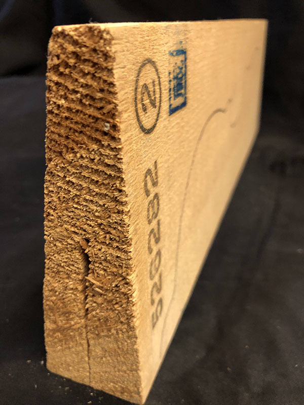 スプルース表板断面図