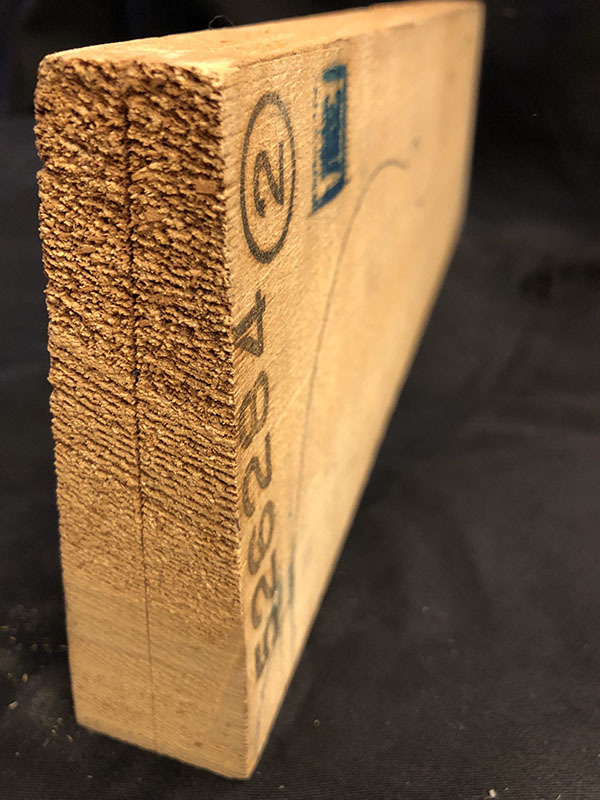 スプルース表板断面図