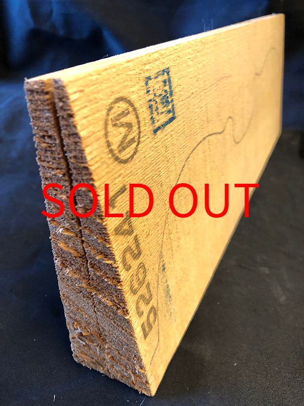 スプルース表板断面図