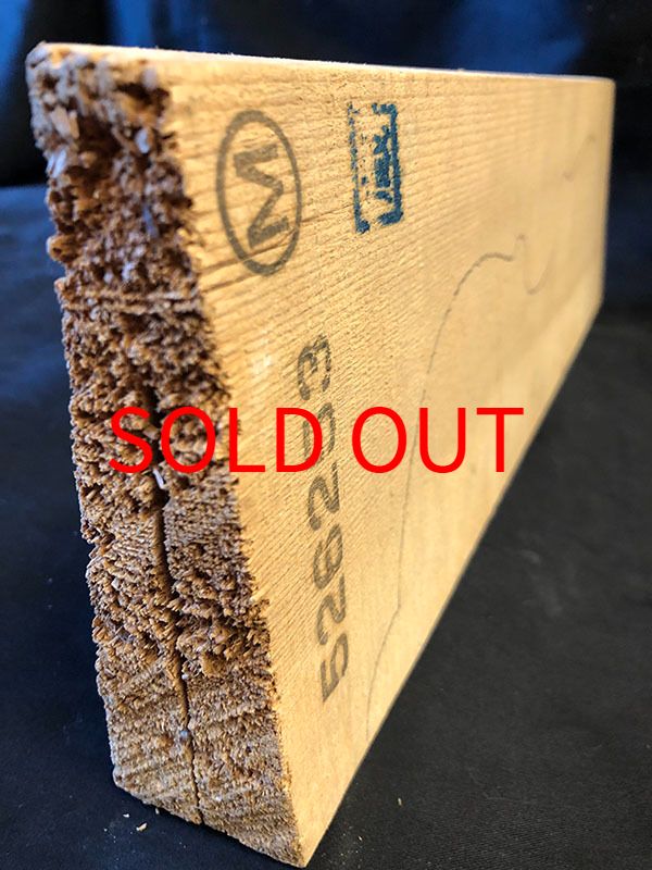 スプルース表板断面図