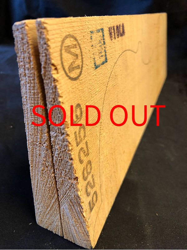 スプルース表板断面図