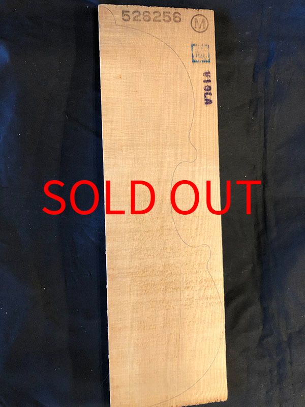 スプルース表板表面