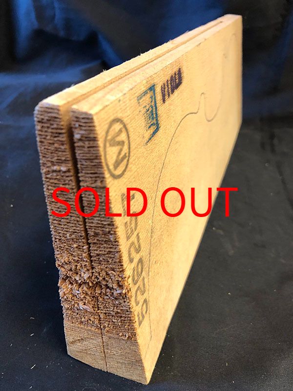 スプルース表板断面図