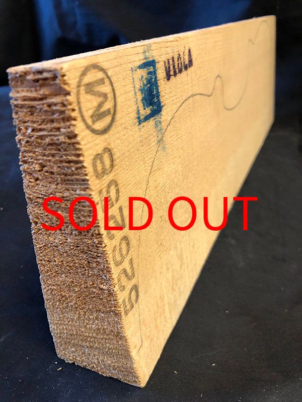 スプルース表板断面図