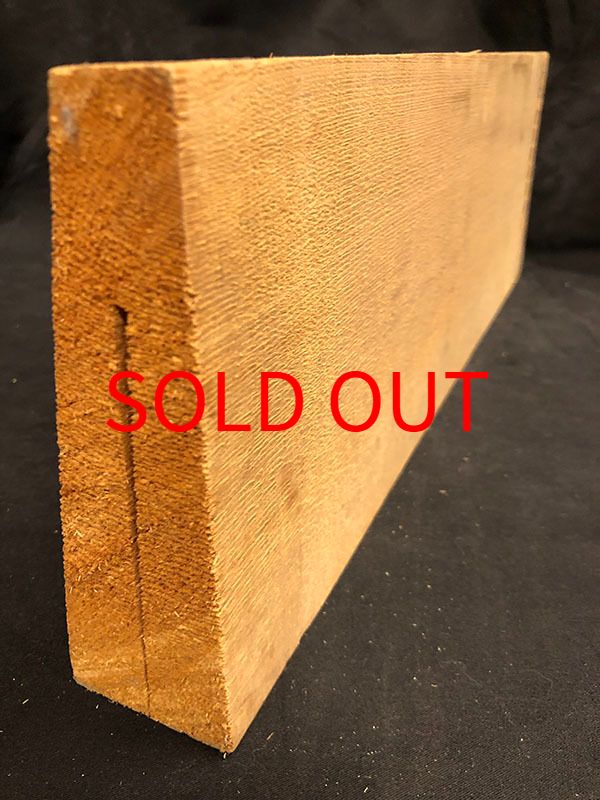 スプルース表板断面図