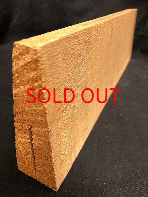 スプルース表板断面図