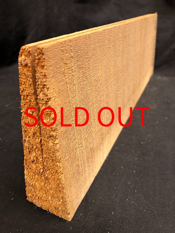 スプルース表板断面図