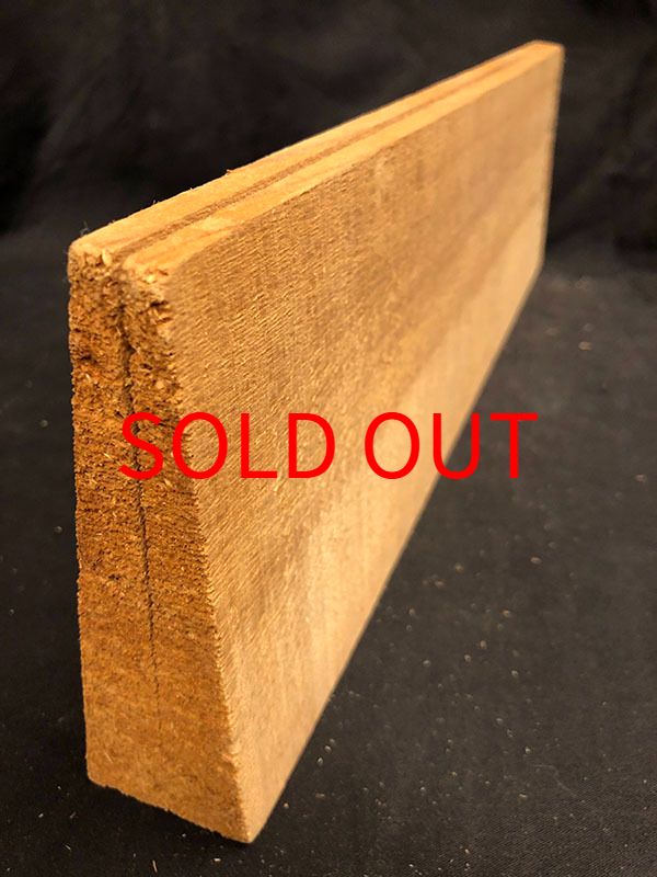 スプルース表板断面図