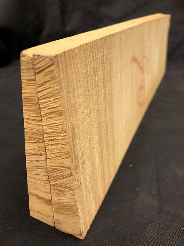 メープル裏板断面図